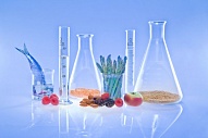 Пищевая химия